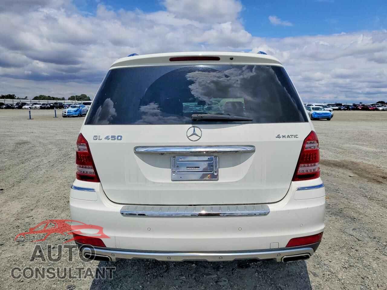MERCEDES-BENZ GL-CLASS 2010 - 4JGBF7BE2AA539879