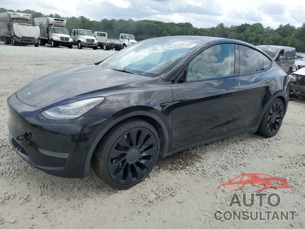 TESLA MODEL Y 2021 - 5YJYGDEE3MF131666