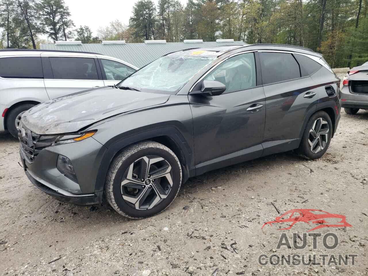 HYUNDAI TUCSON 2022 - 5NMJCCAE6NH156168