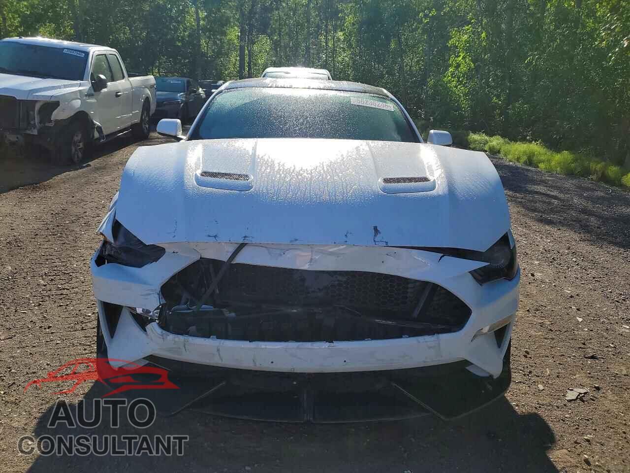 FORD MUSTANG 2019 - 1FA6P8CF7K5145164