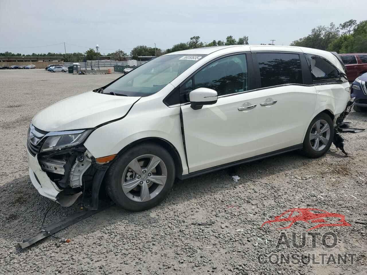 HONDA All Models 2019 - 5FNRL6H70KB114751