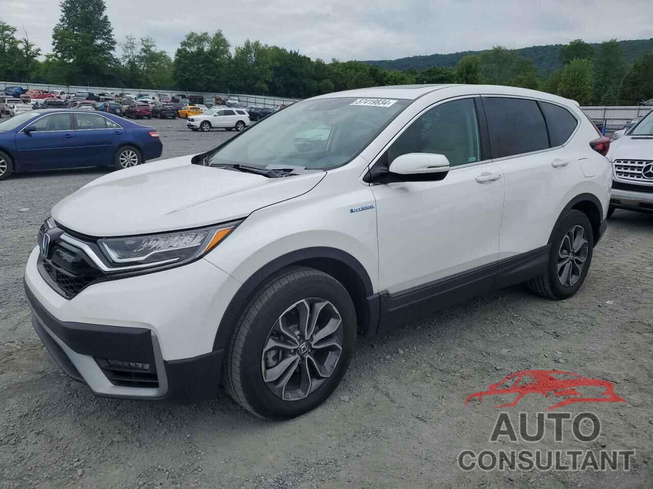 HONDA CRV 2022 - 5J6RT6H87NL039678