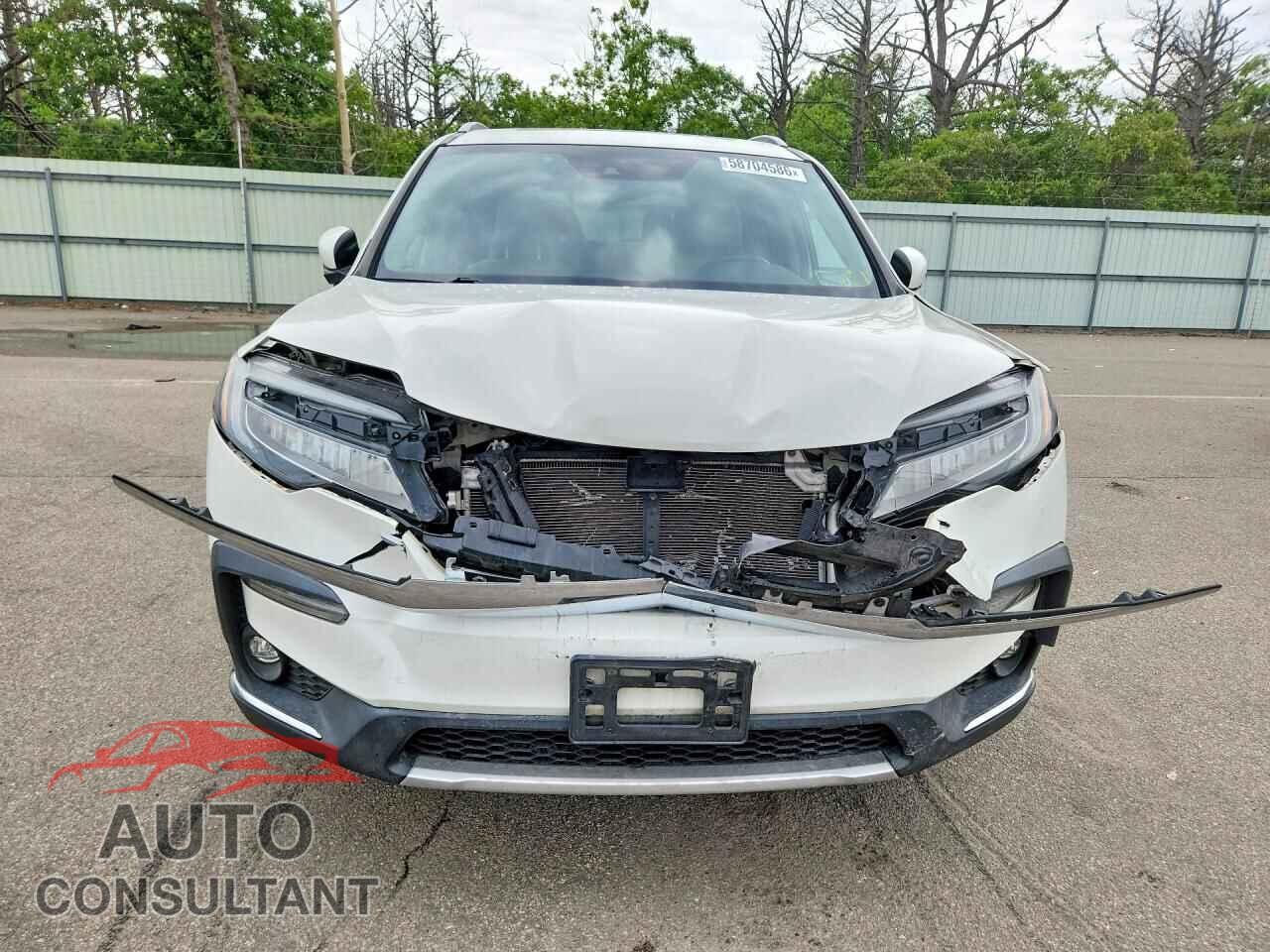HONDA PILOT 2019 - 5FNYF6H64KB011066