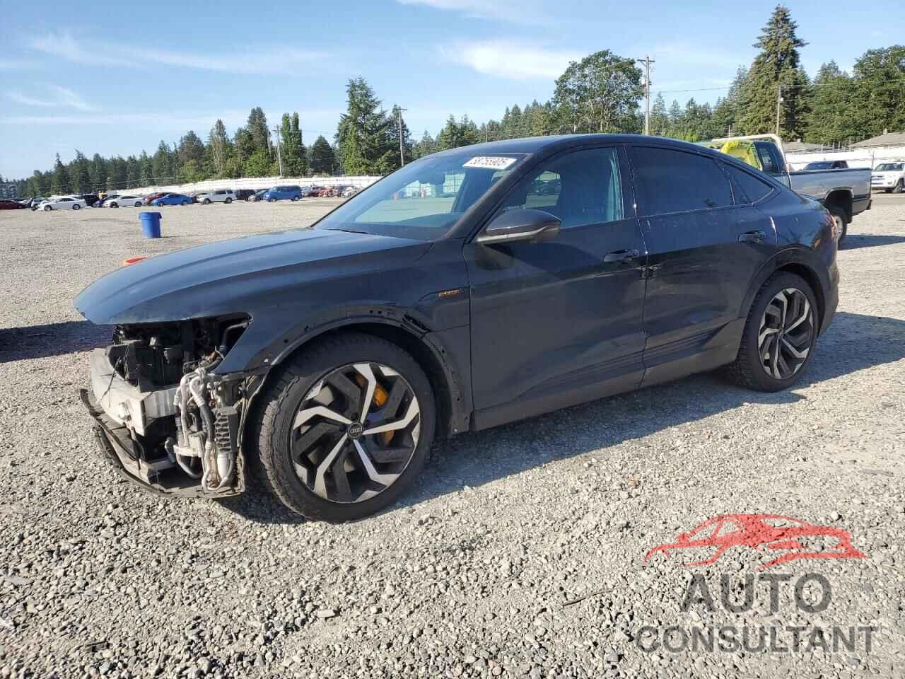 AUDI E-TRON 2023 - WA12AAGEXPB024800