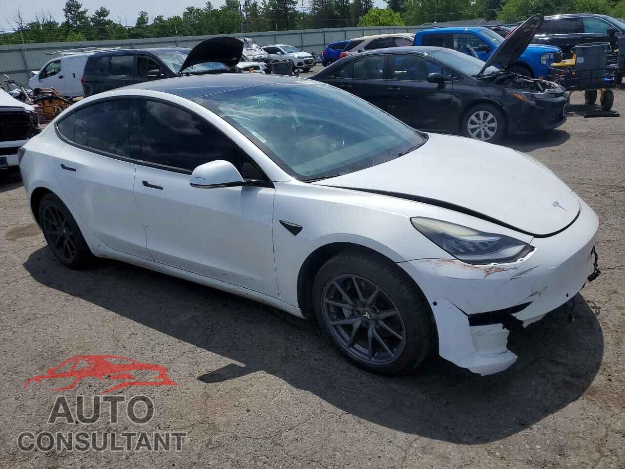 TESLA MODEL 3 2019 - 5YJ3E1EA1KF401390