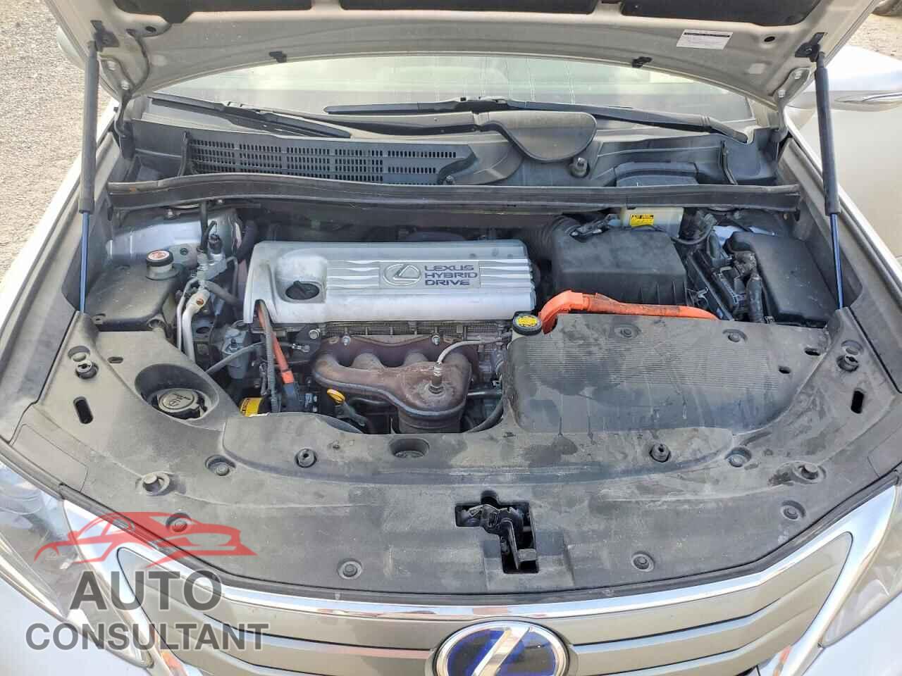 LEXUS HS 2010 - JTHBB1BA6A2034110