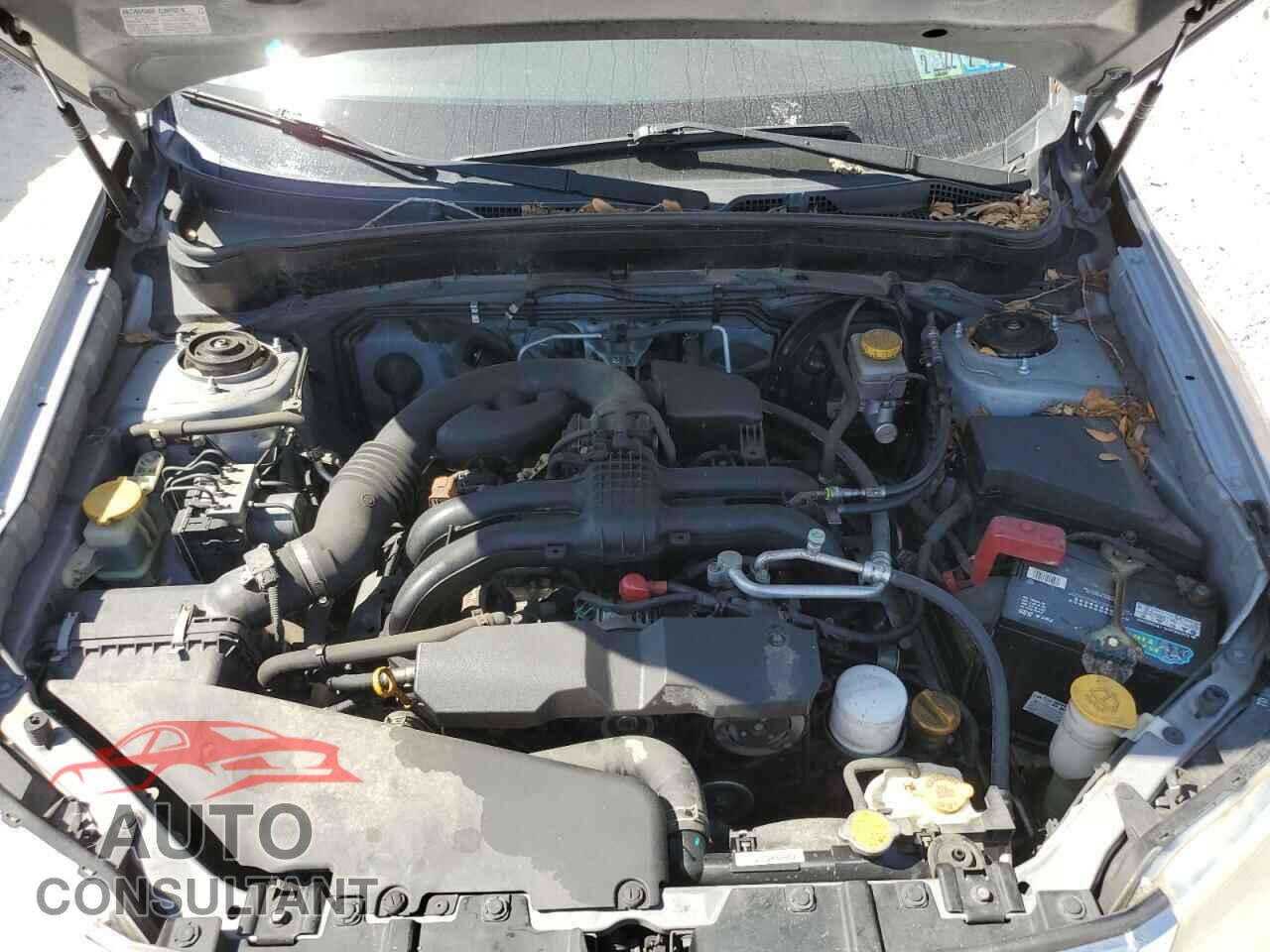 SUBARU FORESTER 2011 - JF2SHABC3BH717061