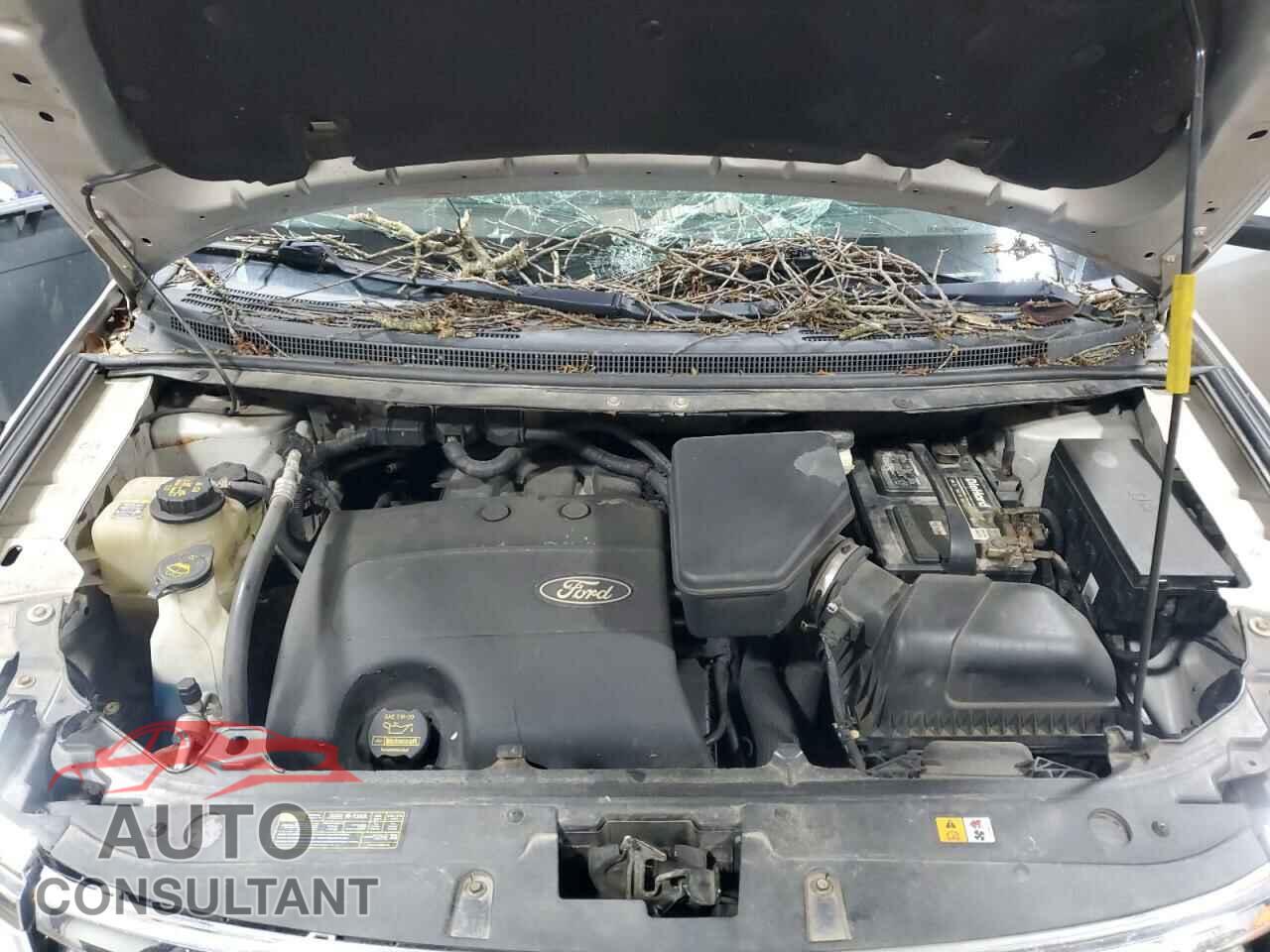 FORD EDGE 2013 - 2FMDK4KC5DBA41041
