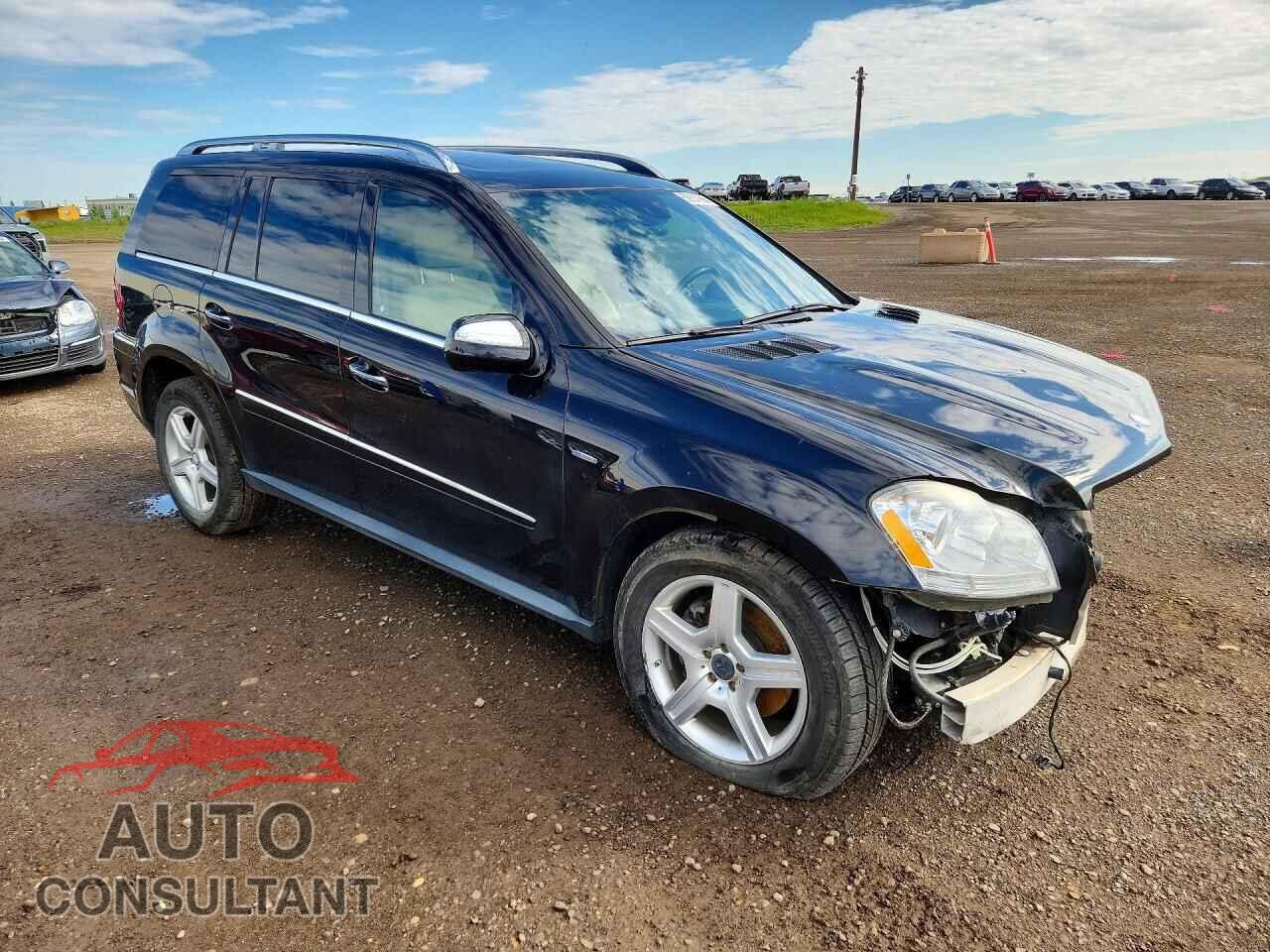 MERCEDES-BENZ GL-CLASS 2010 - 4JGBF2FE9AA623730