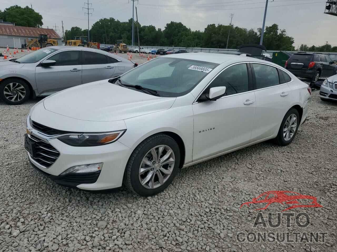 CHEVROLET MALIBU 2019 - 1G1ZD5ST0KF205147