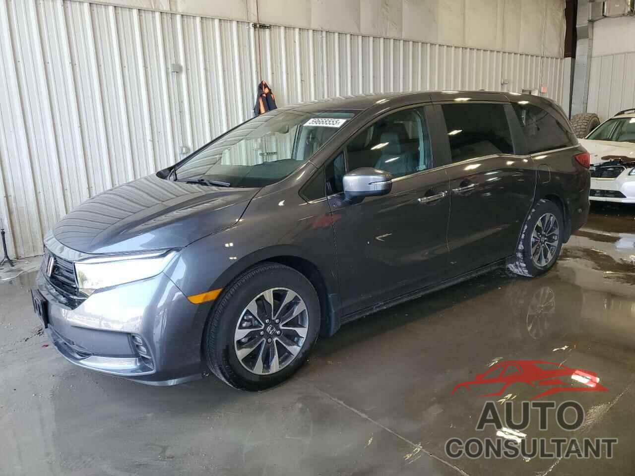 HONDA All Models 2023 - 5FNRL6H6XPB079232