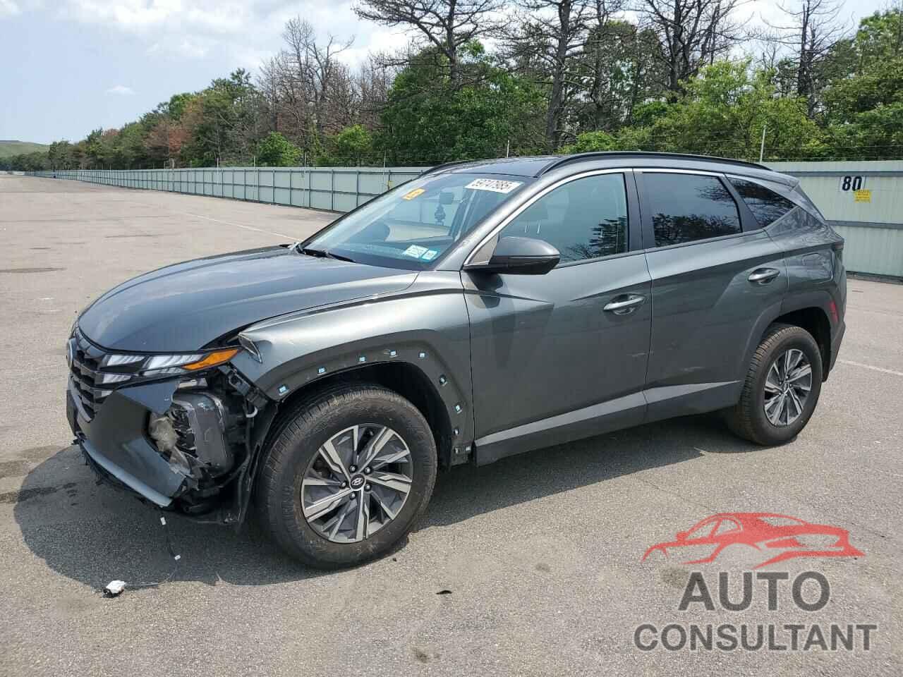 HYUNDAI TUCSON 2023 - KM8JBCA10PU112822