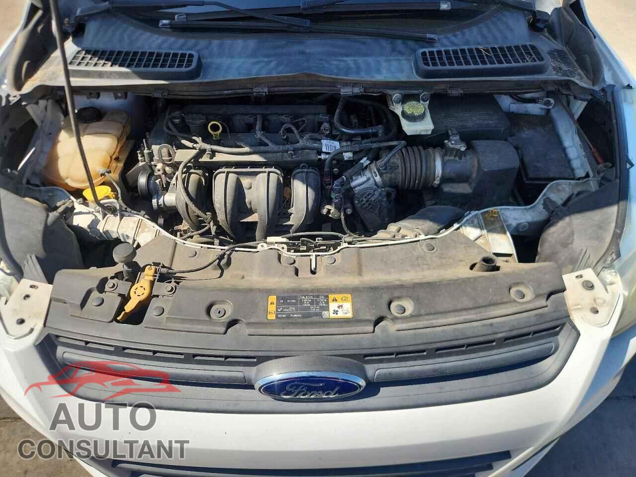 FORD ESCAPE 2014 - 1FMCU0F75EUC84341