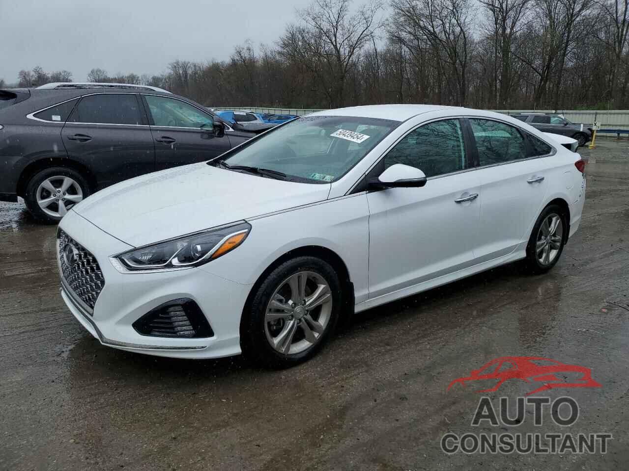 HYUNDAI SONATA 2019 - 5NPE34AF9KH806304