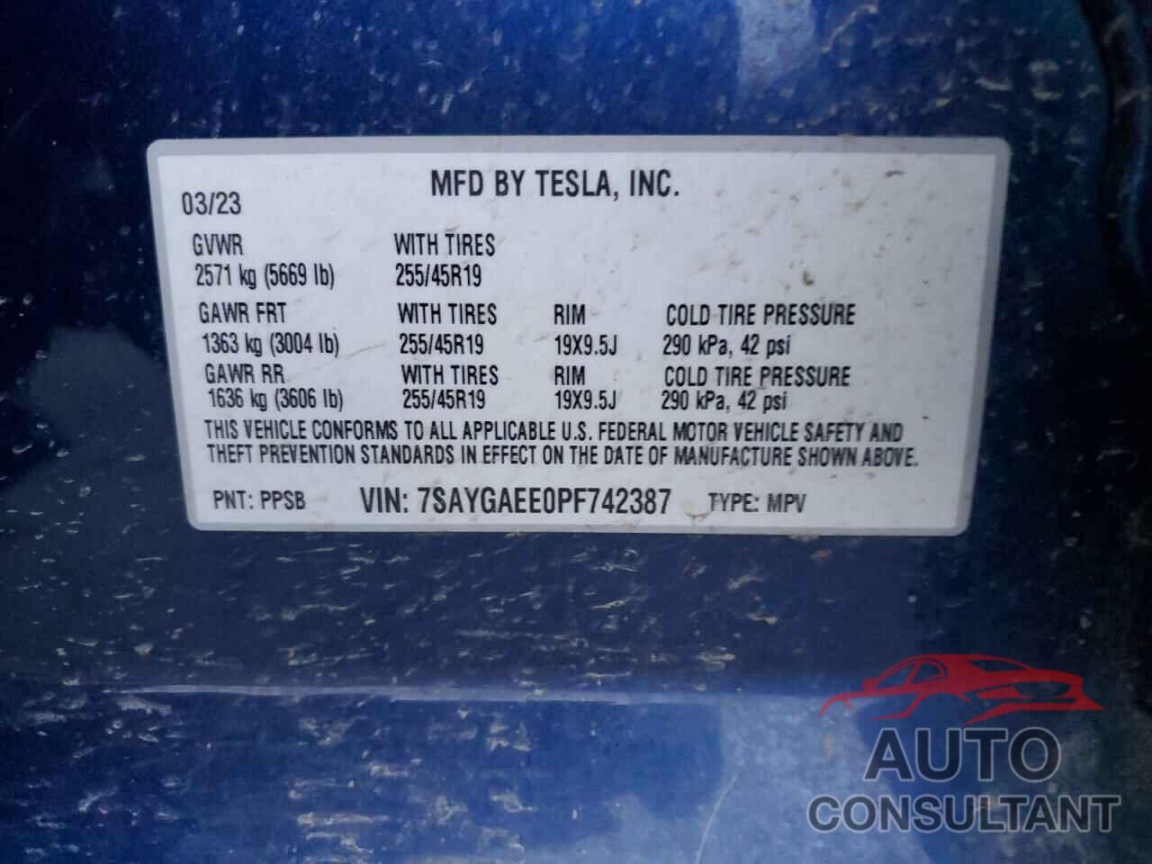 TESLA MODEL Y 2023 - 7SAYGAEE0PF742387