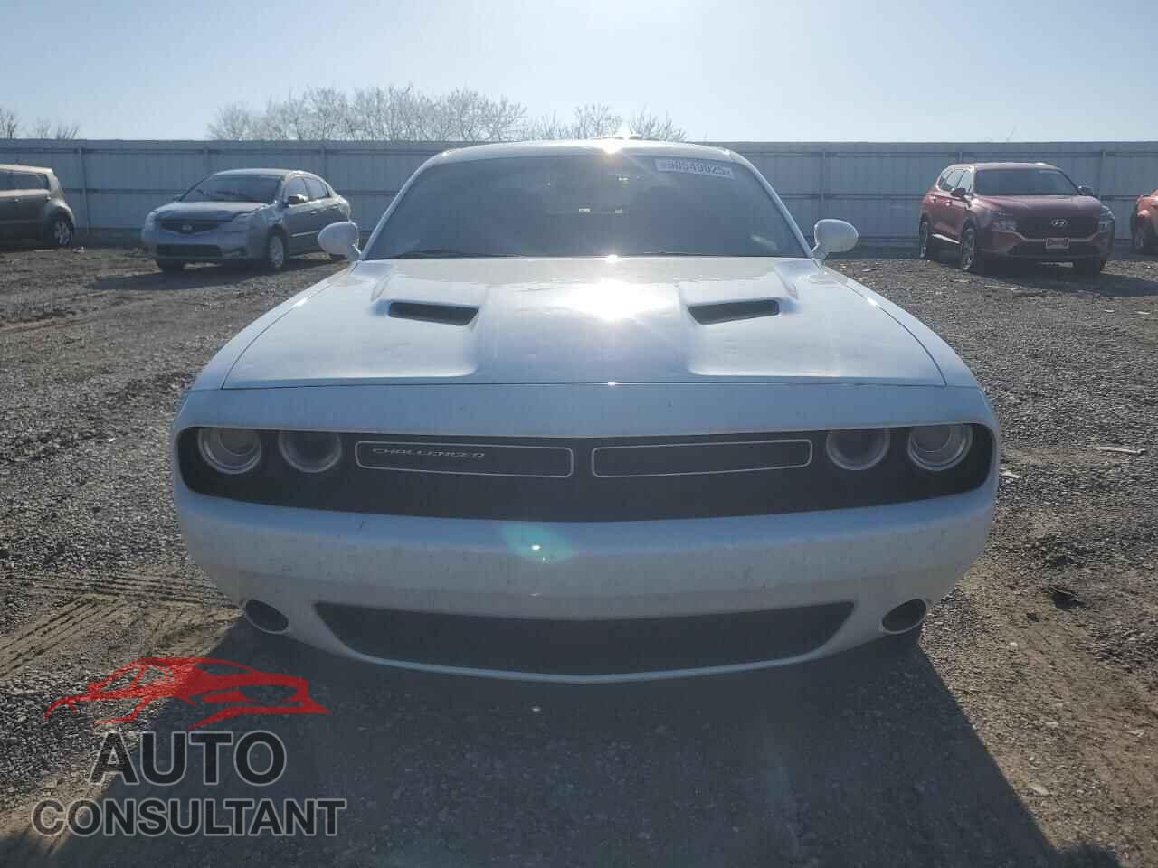 DODGE CHALLENGER 2019 - 2C3CDZAG9KH684082