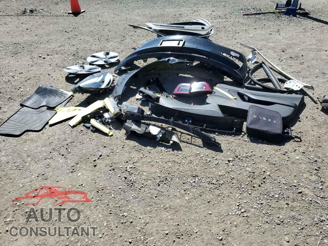 TESLA MODEL 3 2019 - 5YJ3E1EA5KF305679