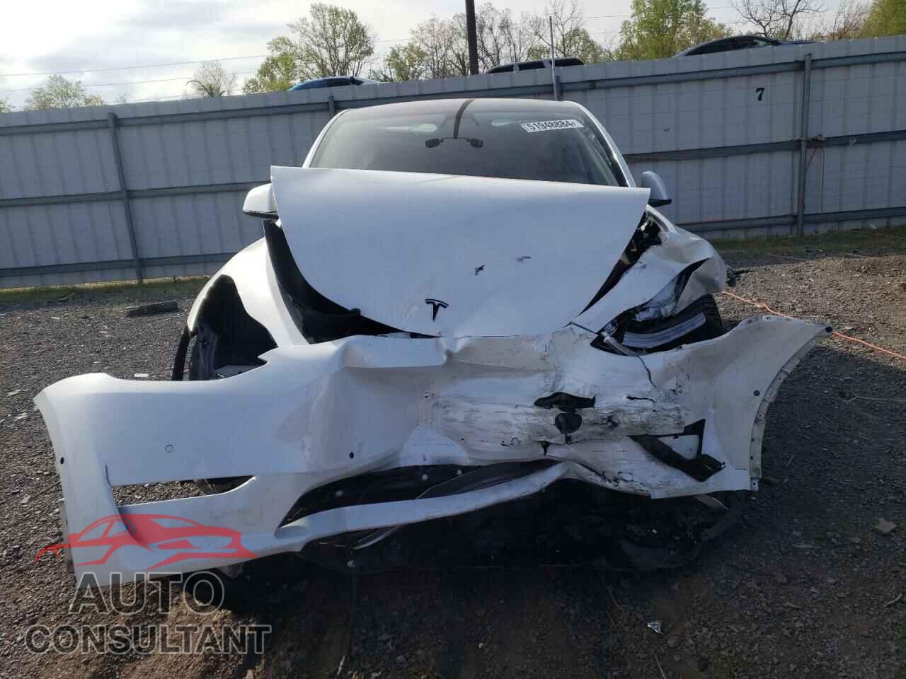 TESLA MODEL Y 2020 - 5YJYGDEEXLF029781