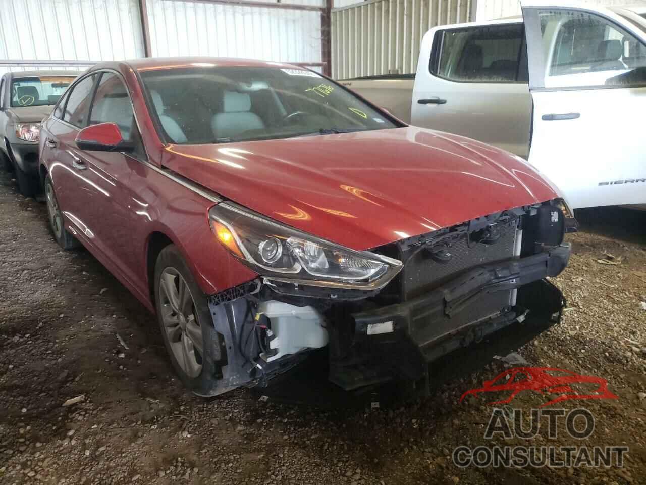 HYUNDAI SONATA 2019 - 5NPE34AF1KH813179