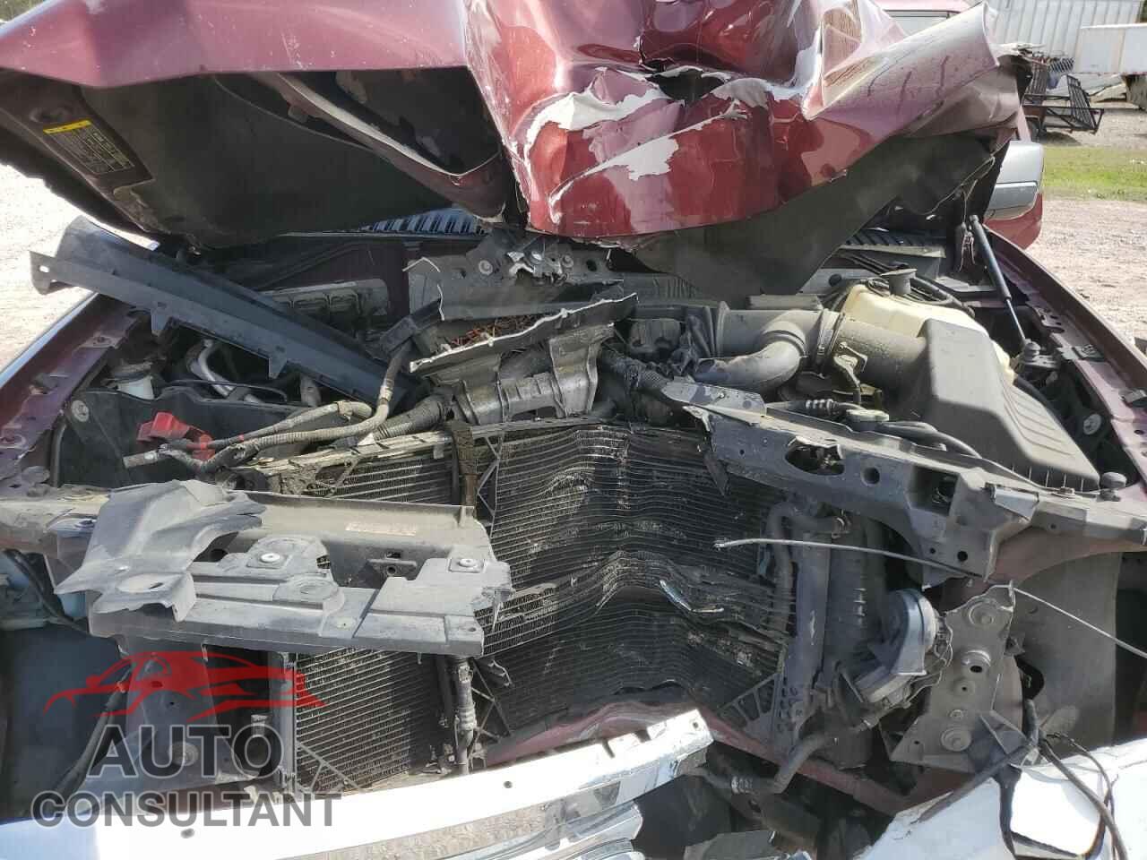 FORD EXPEDITION 2010 - 1FMJU1J57AEA00585