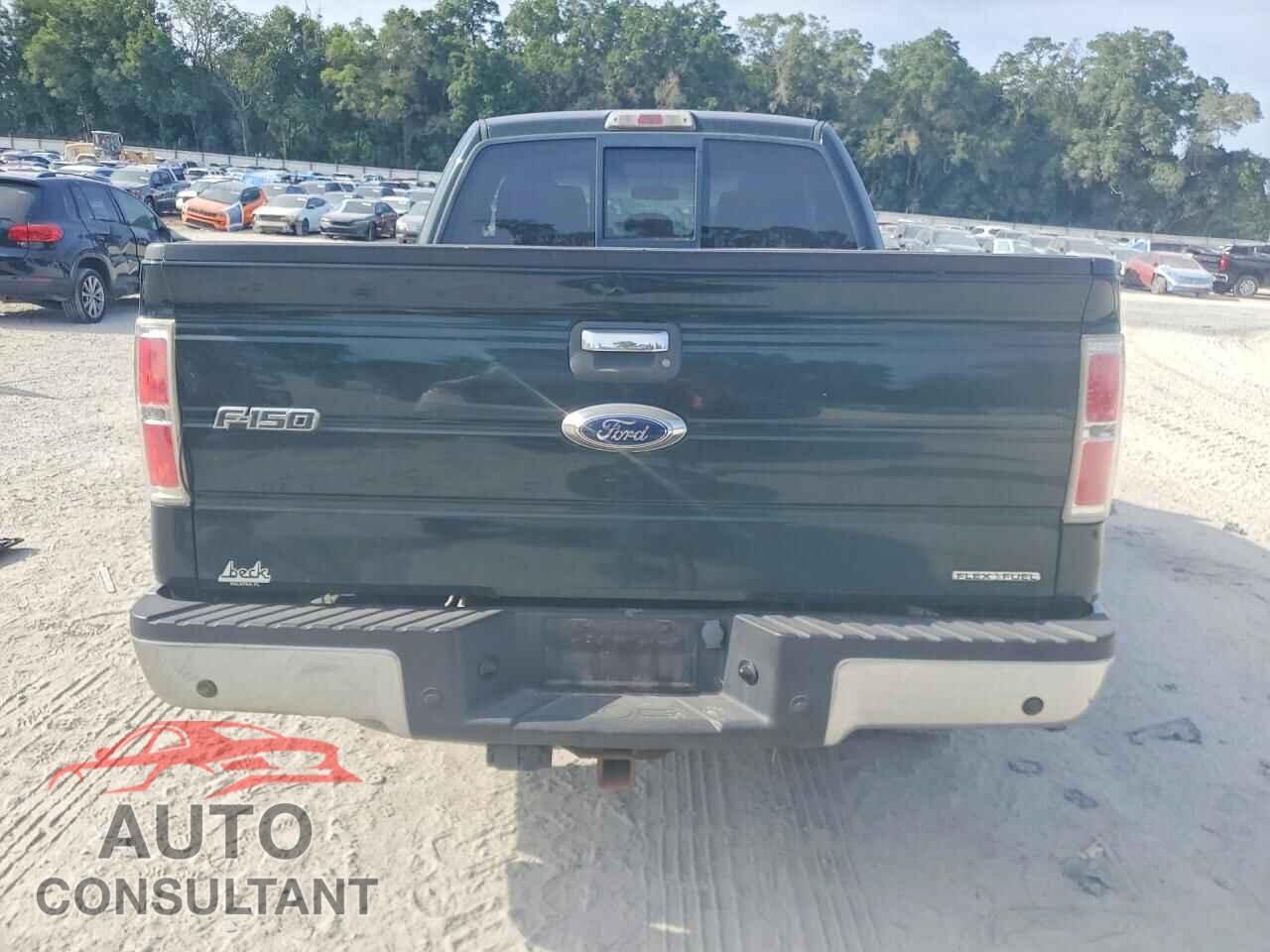 FORD F150 2013 - 1FTFX1CF2DFA11645