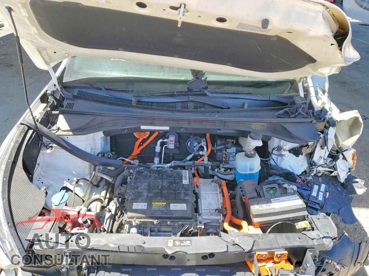 KIA UNKNOWN 2022 - KNDCC3LG4N5116830