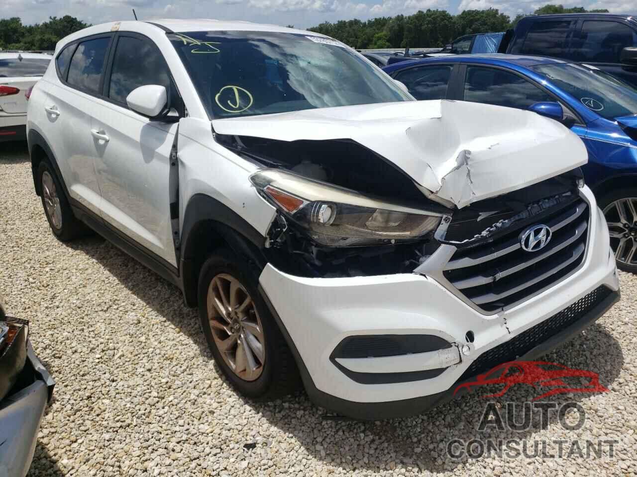HYUNDAI TUCSON 2017 - KM8J23A45HU519028