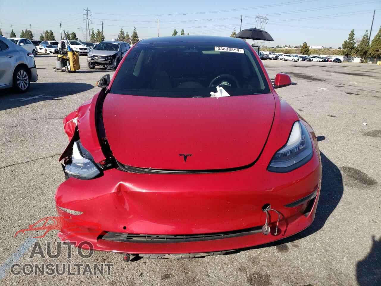 TESLA MODEL 3 2019 - 5YJ3E1EB7KF387116