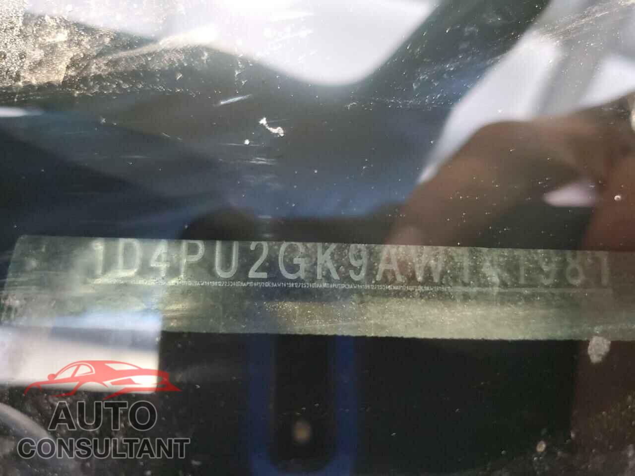 DODGE NITRO 2010 - 1D4PU2GK9AW141981
