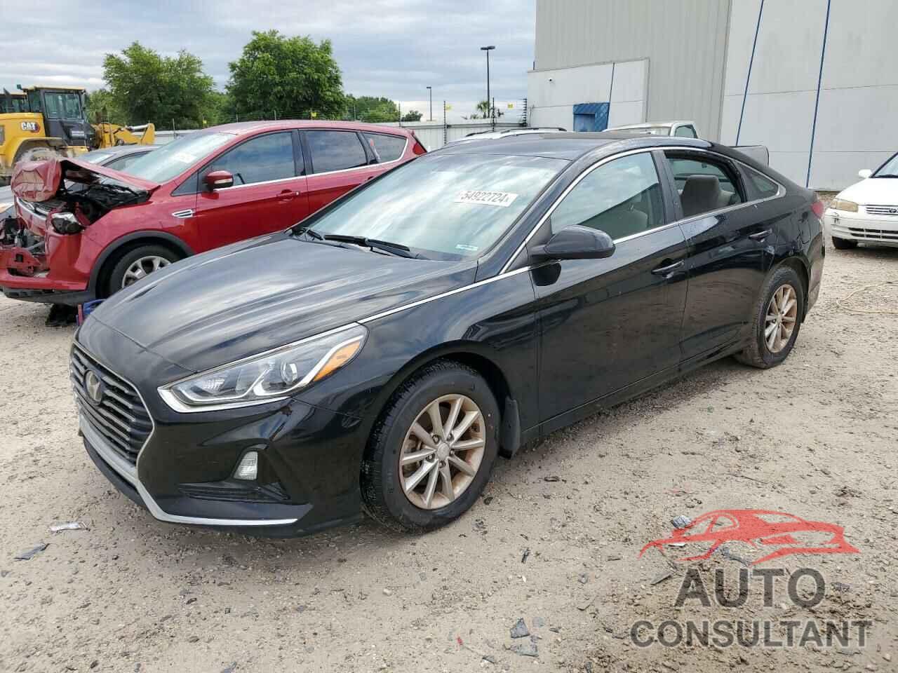 HYUNDAI SONATA 2019 - 5NPE24AF4KH796221
