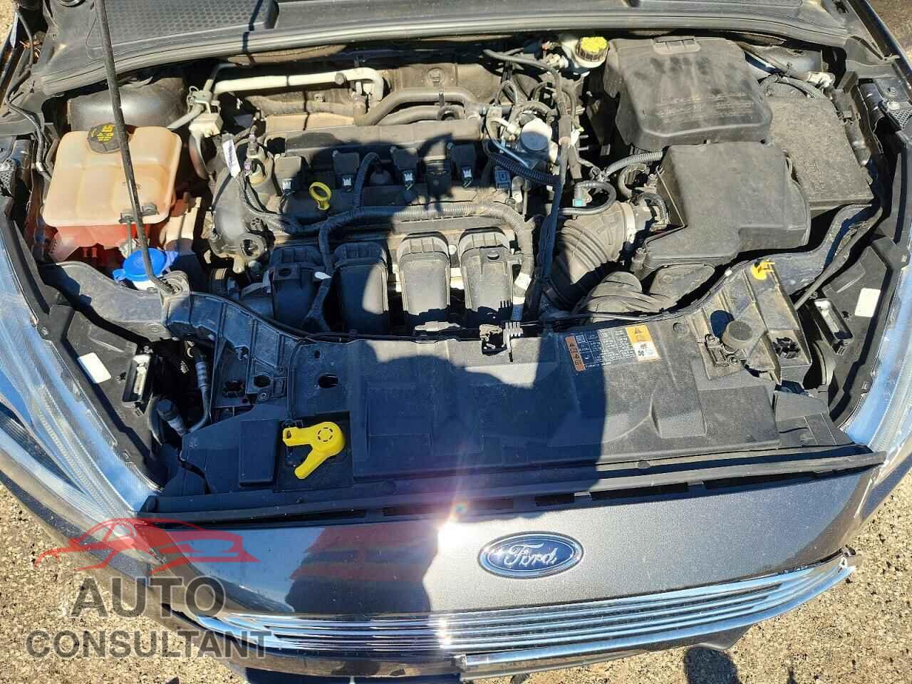 FORD FOCUS 2016 - 1FADP3N29GL344224