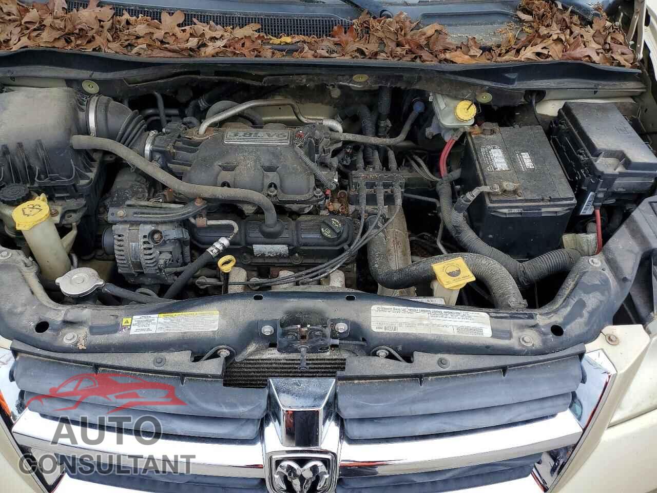DODGE CARAVAN 2010 - 2D4RN5D16AR459035