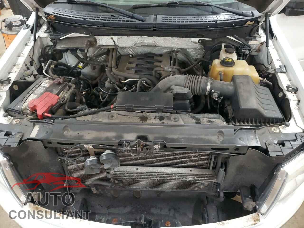 FORD F-150 2011 - 1FTFW1EF4BKD20912