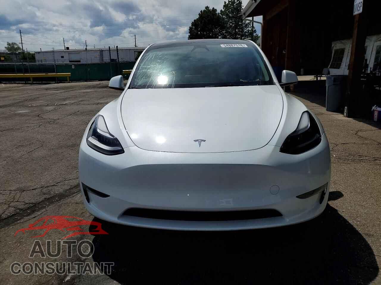 TESLA MODEL Y 2024 - 7SAYGAEE1RF133456