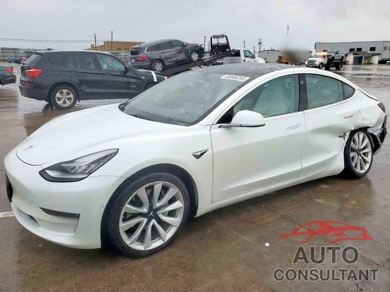 TESLA MODEL 3 2019 - 5YJ3E1EB2KF392305