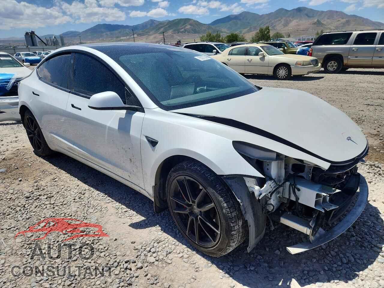 TESLA MODEL 3 2021 - 5YJ3E1EC3MF059669