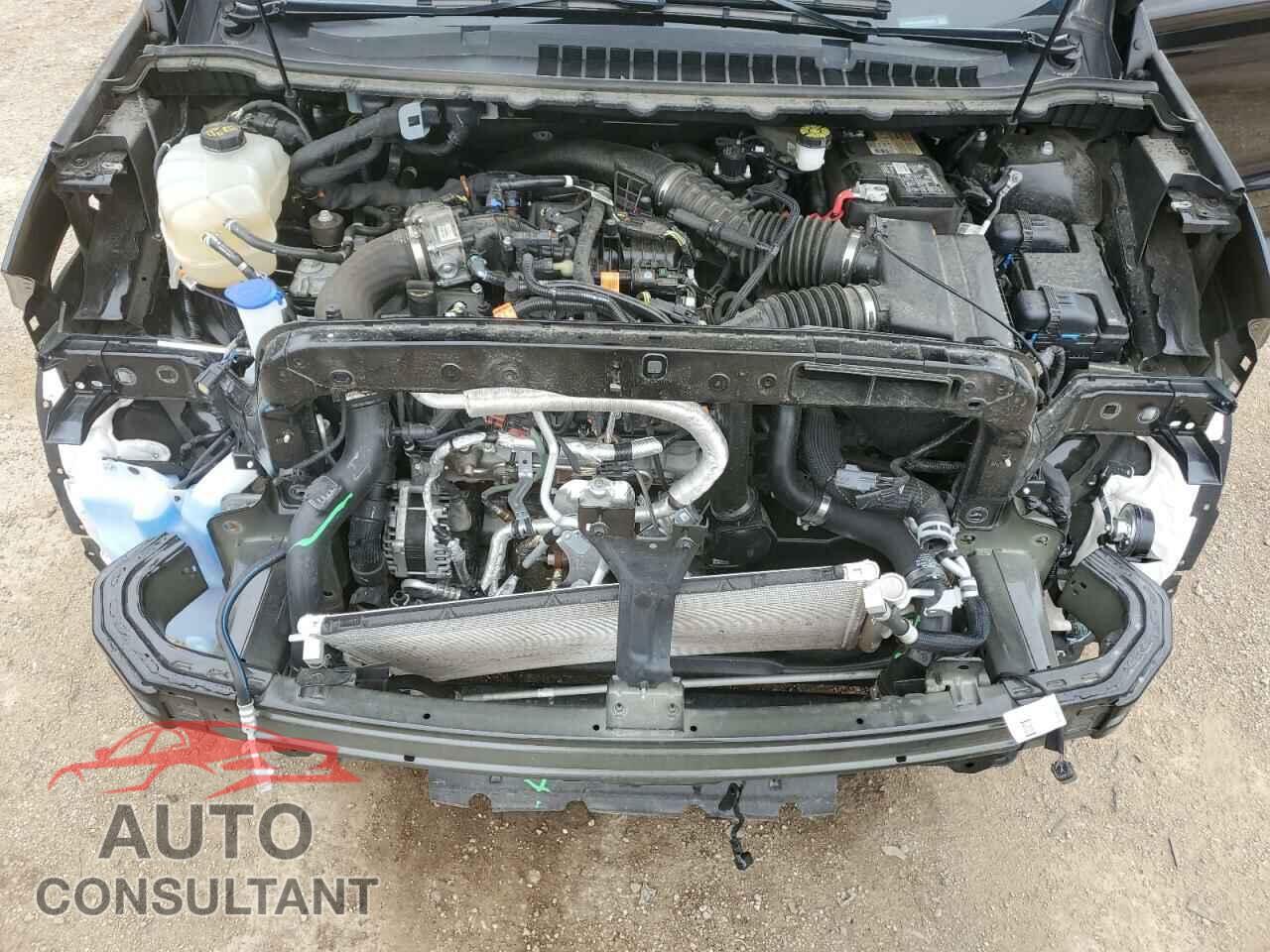 FORD EDGE 2022 - 2FMPK4AP2NBA06136