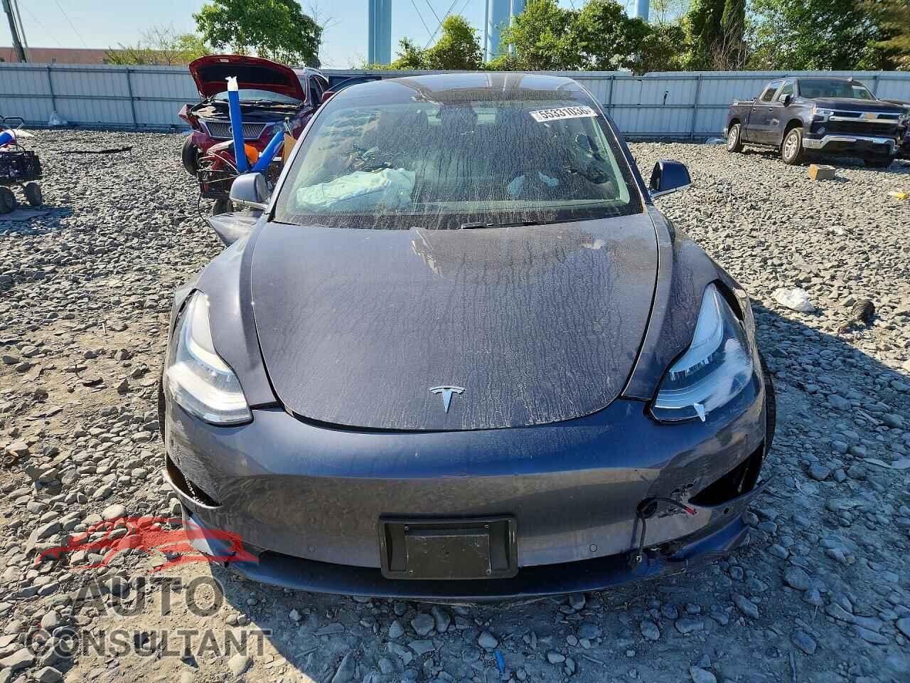 TESLA MODEL 3 2019 - 5YJ3E1EA0KF411215