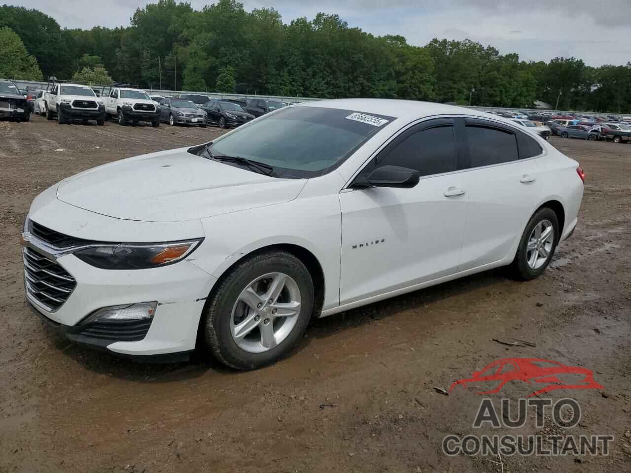 CHEVROLET MALIBU 2020 - 1G1ZB5ST6LF009284