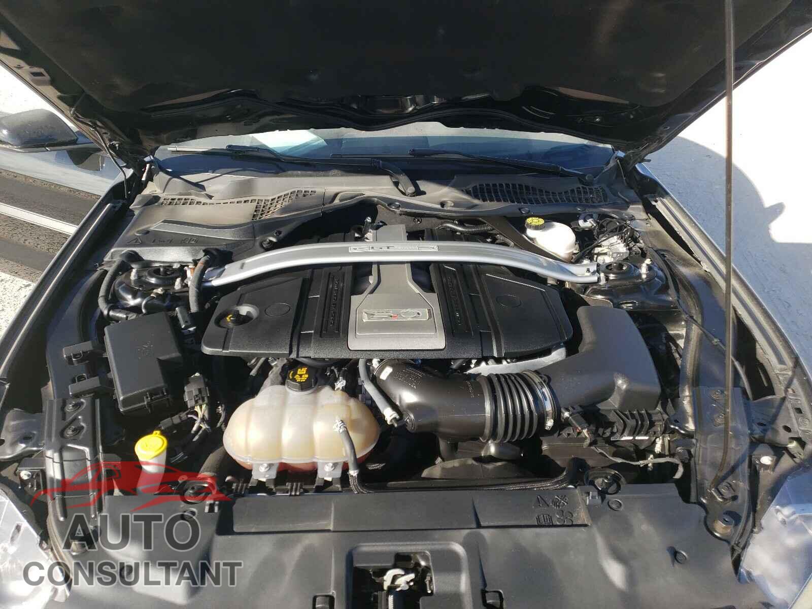 FORD MUSTANG 2019 - 1FA6P8CF7K5102055
