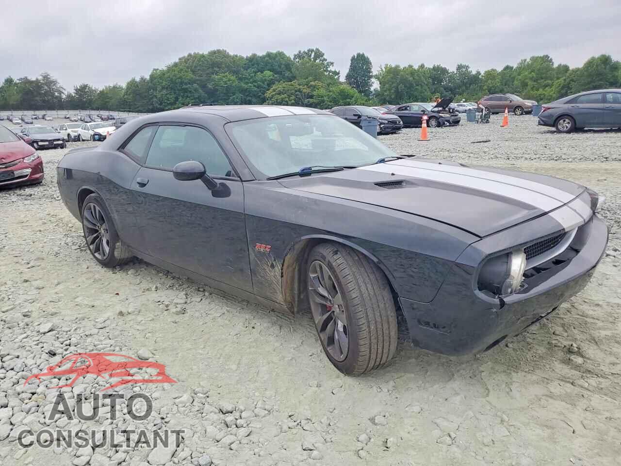 DODGE CHALLENGER 2014 - 2C3CDYCJ8EH246953