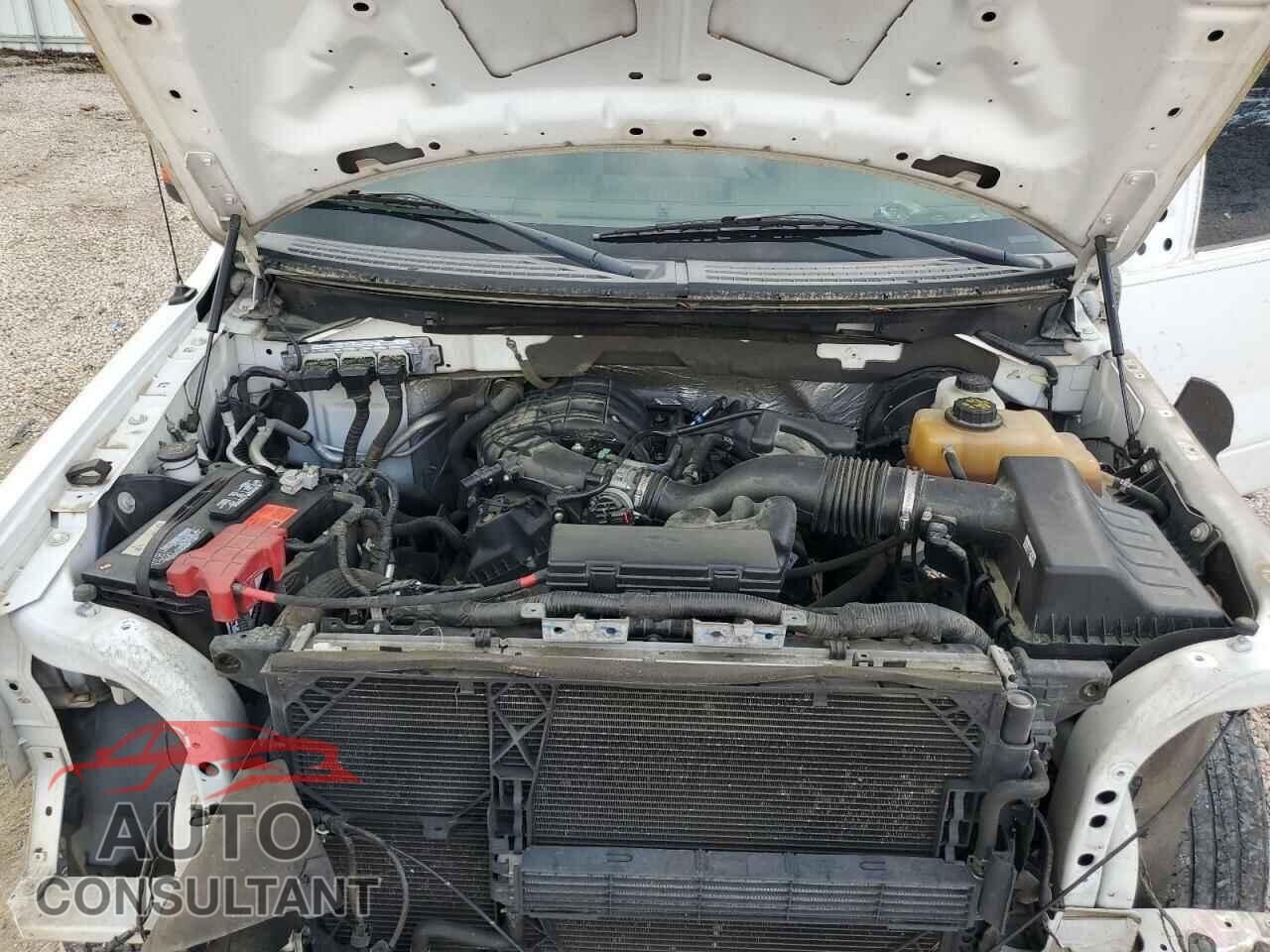 FORD F-150 2013 - 1FTEW1CM9DFD44745
