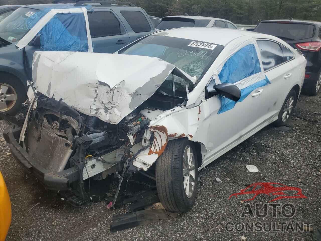 HYUNDAI SONATA 2019 - 5NPE24AF9KH805141