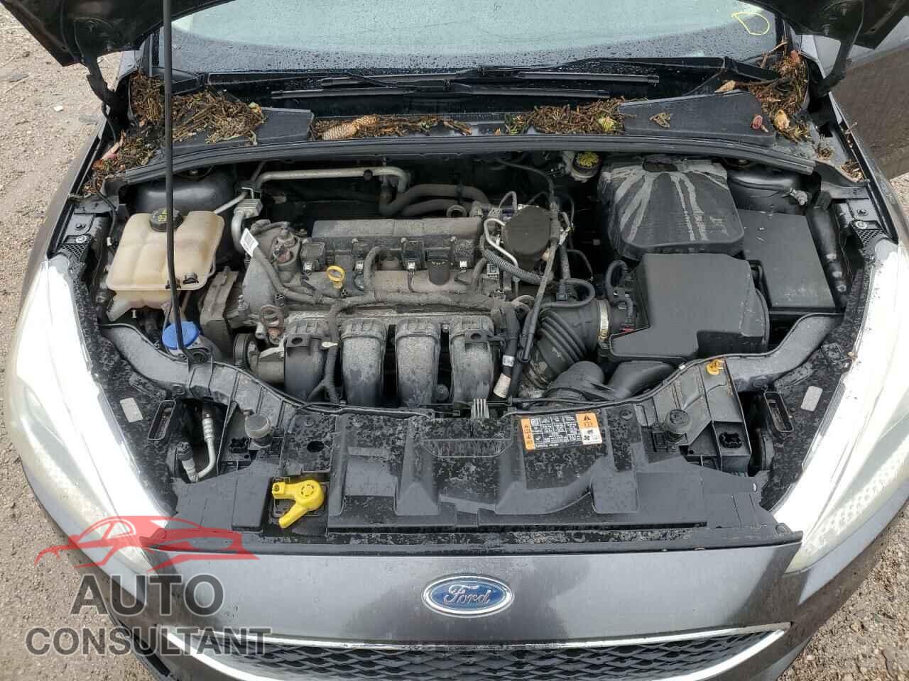 FORD FOCUS 2016 - 1FADP3F29GL309410