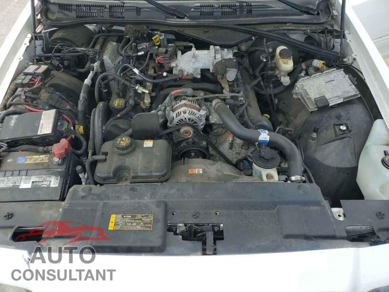 FORD CROWN VIC 2010 - 2FABP7BV2AX141201