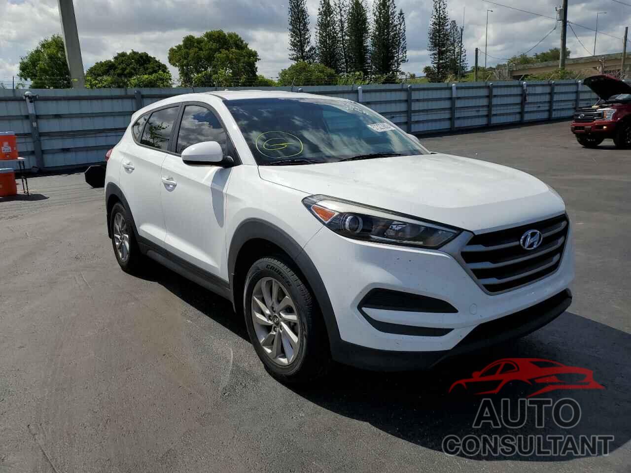 HYUNDAI TUCSON 2017 - KM8J23A42HU564637