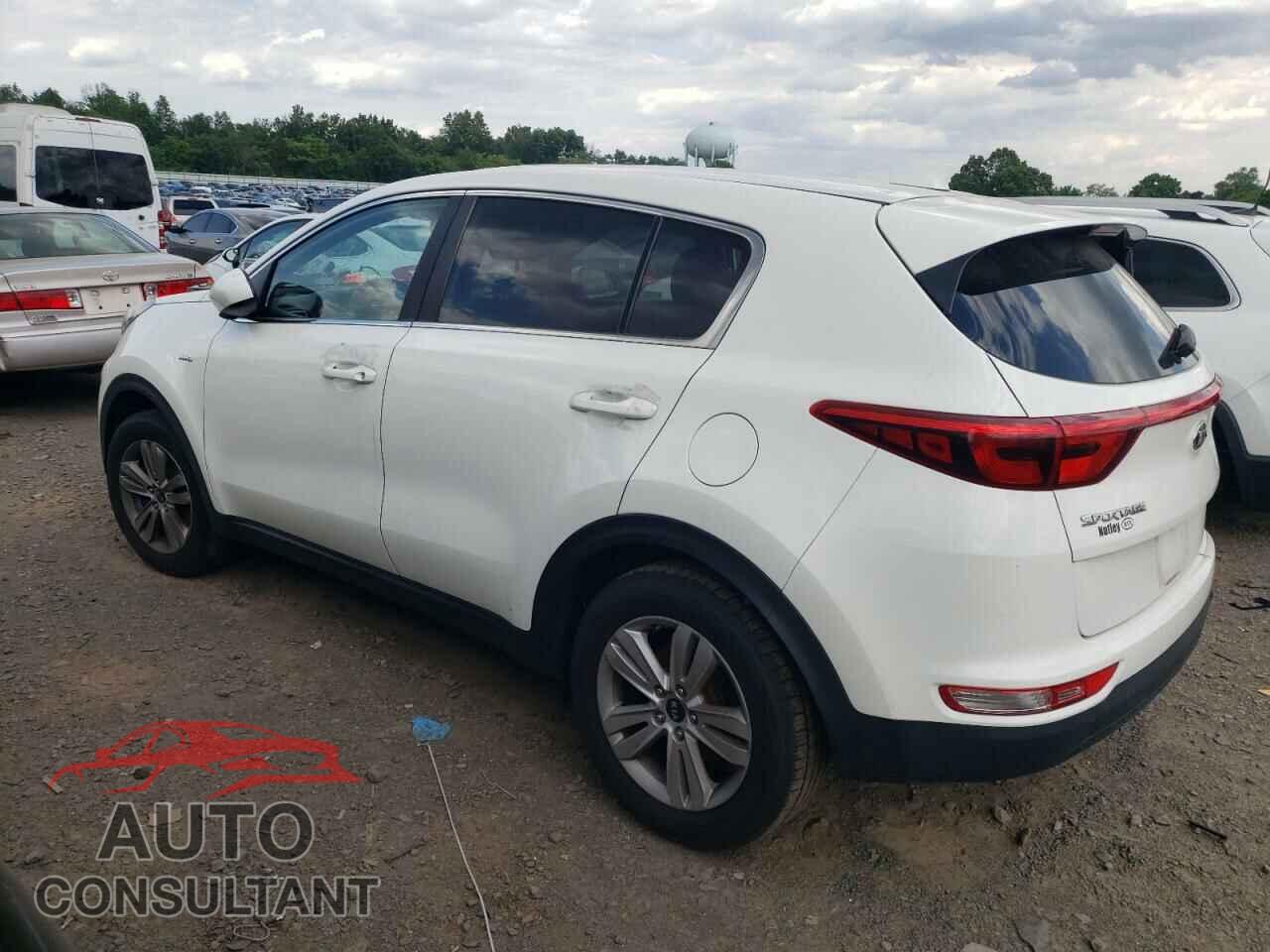 KIA SPORTAGE 2018 - KNDPMCACXJ7420161