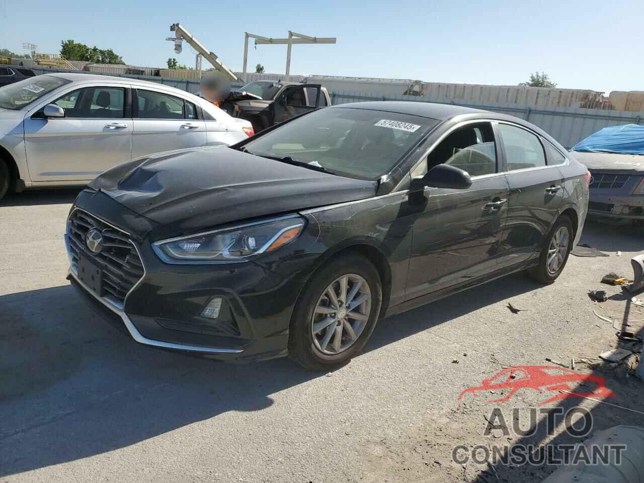 HYUNDAI SONATA 2019 - 5NPE24AF3KH755546
