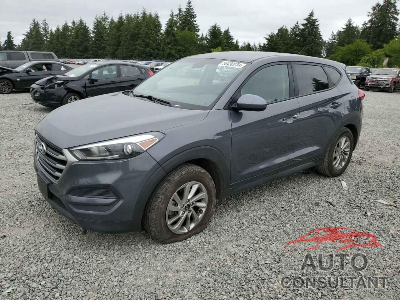 HYUNDAI TUCSON 2018 - KM8J2CA47JU610601