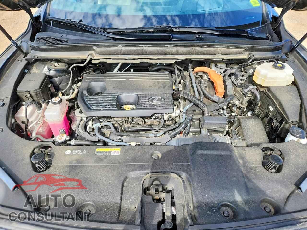 LEXUS UNKNOWN 2024 - 2T2BBMCA0RC046148